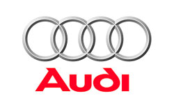 Audi - Client Logo - Team Extreme